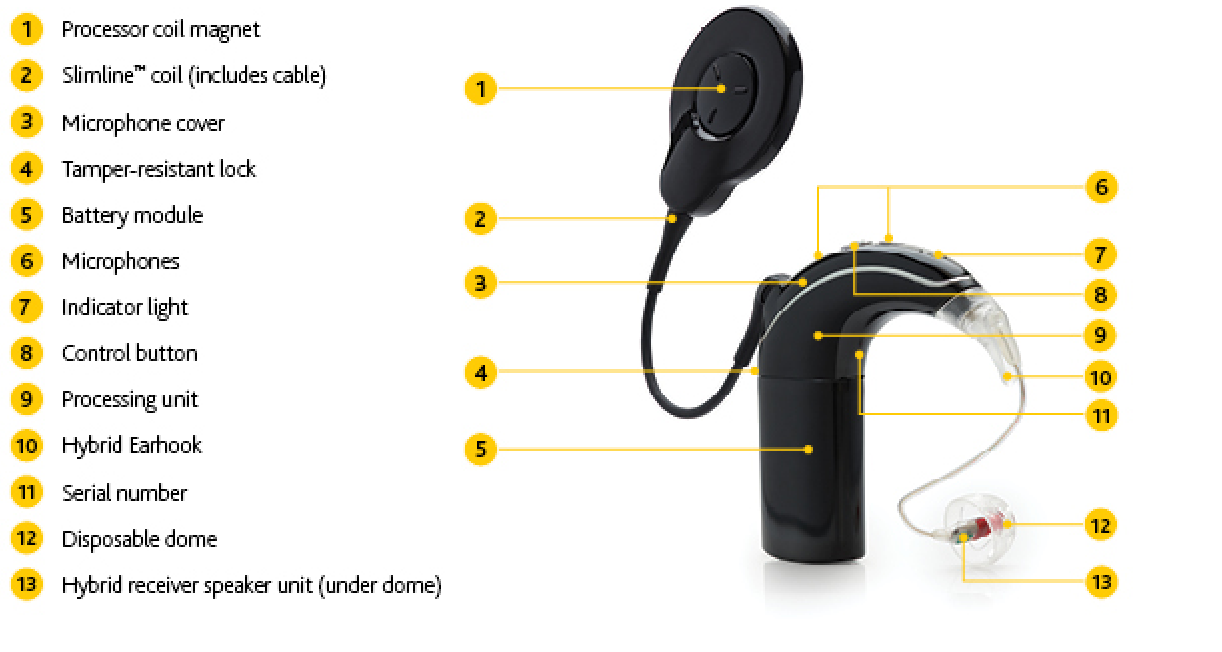 hybrid+with+acoustic.png