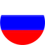 Russian Flag Icon